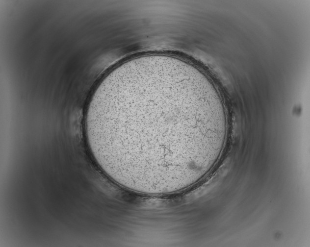 X0000102481265200808221658