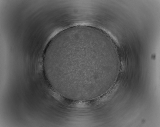 X0000102481266200808221658