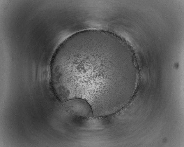 X0000102481267200808221658