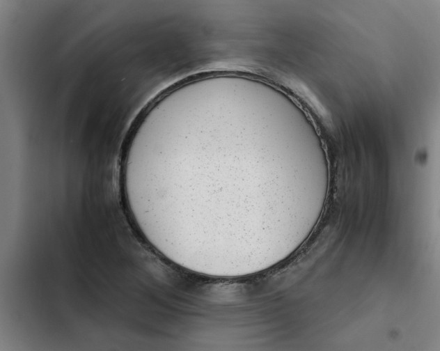 X0000102481268200808221658