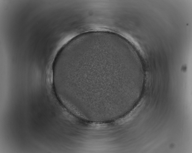 X0000102481269200808221658