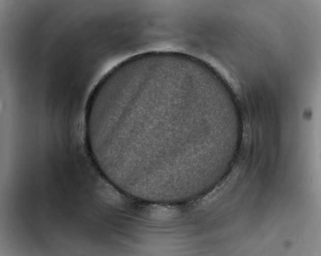 X0000102481270200808221658