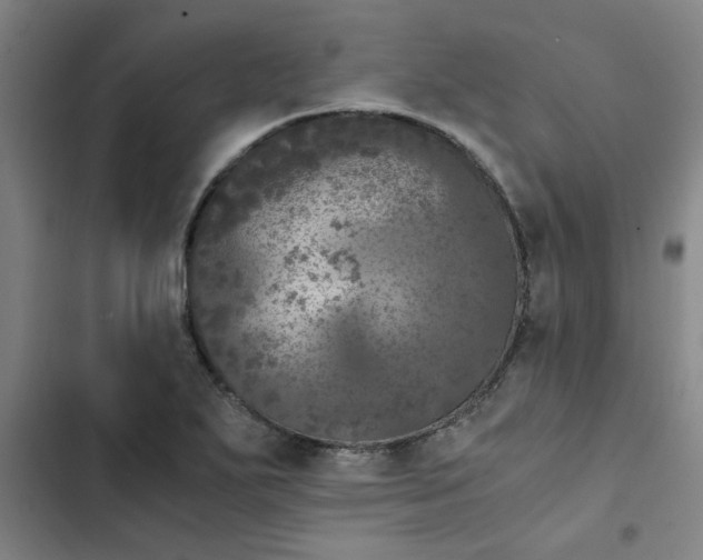 X0000102481271200808221658