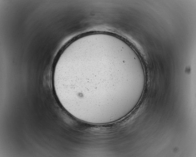 X0000102481272200808221658