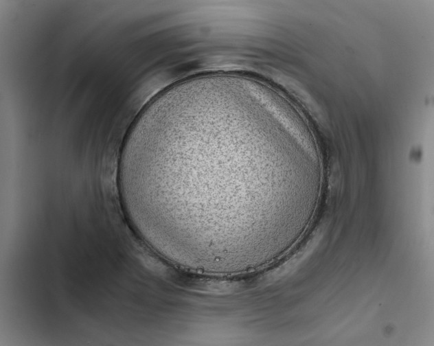 X0000102481273200808221658