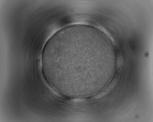 X0000102481274200808221658