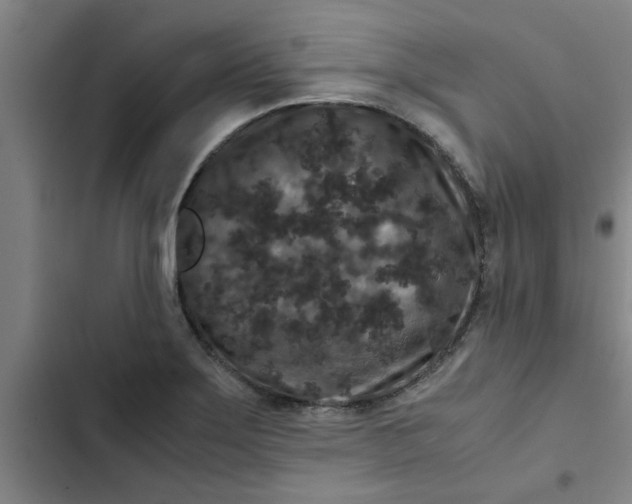 X0000102481275200808221658