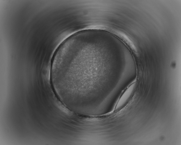 X0000102481276200808221658