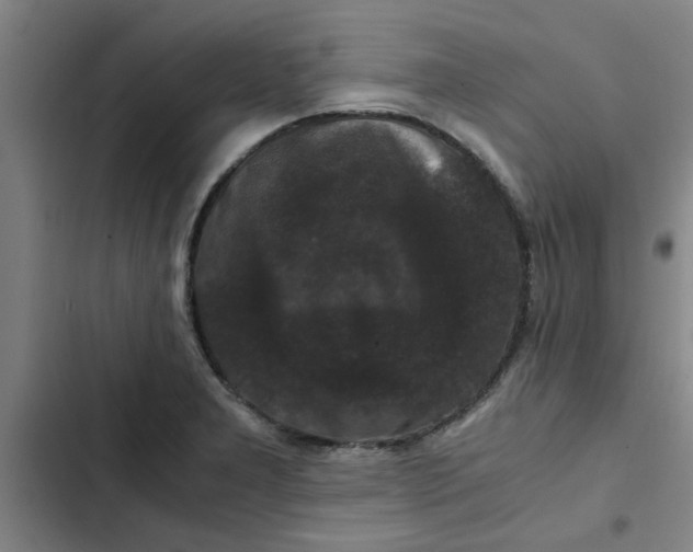 X0000102481277200808221658