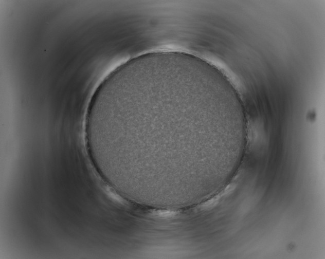 X0000102481278200808221658