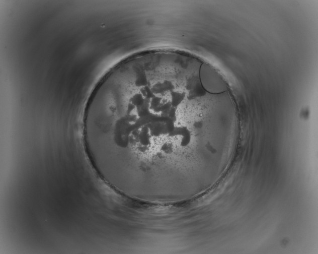 X0000102481279200808221658