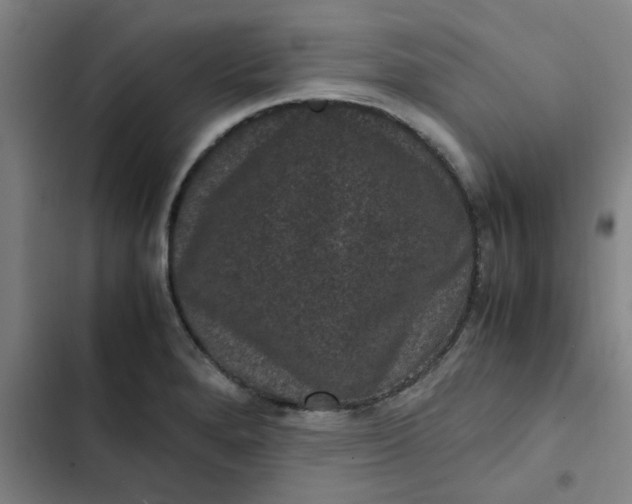 X0000102481280200808221658