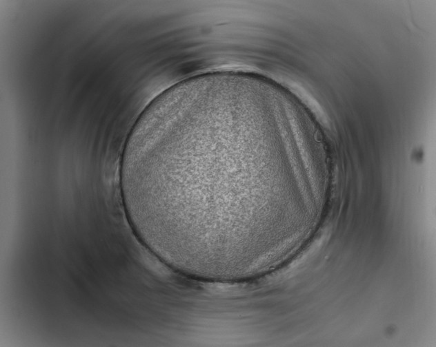 X0000102481281200808221658