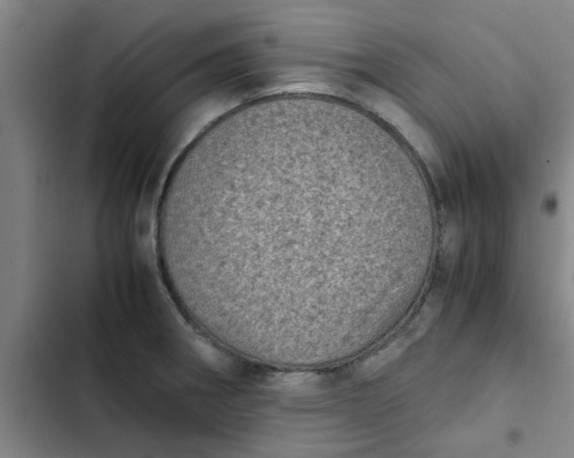 X0000102481282200808221658