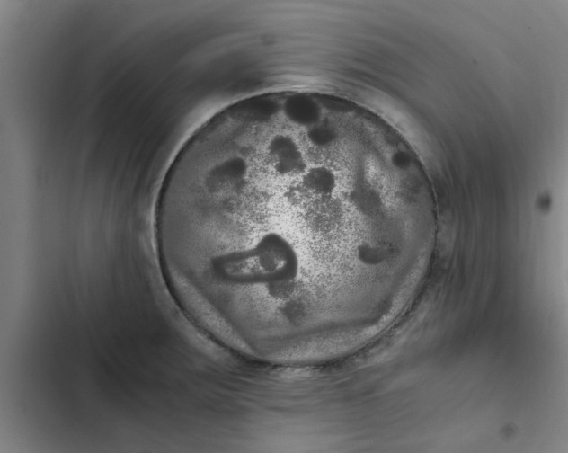 X0000102481283200808221658