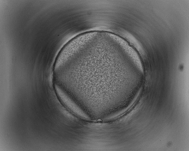 X0000102481284200808221658