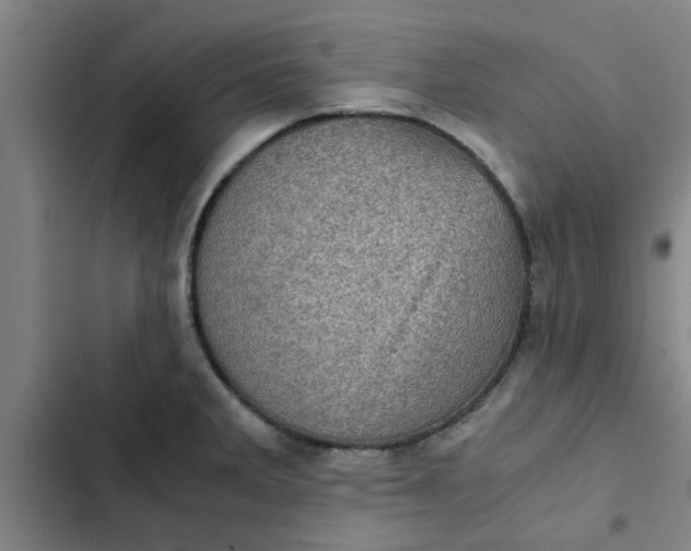 X0000102481285200808221658