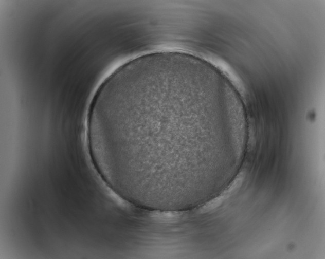 X0000102481286200808221658