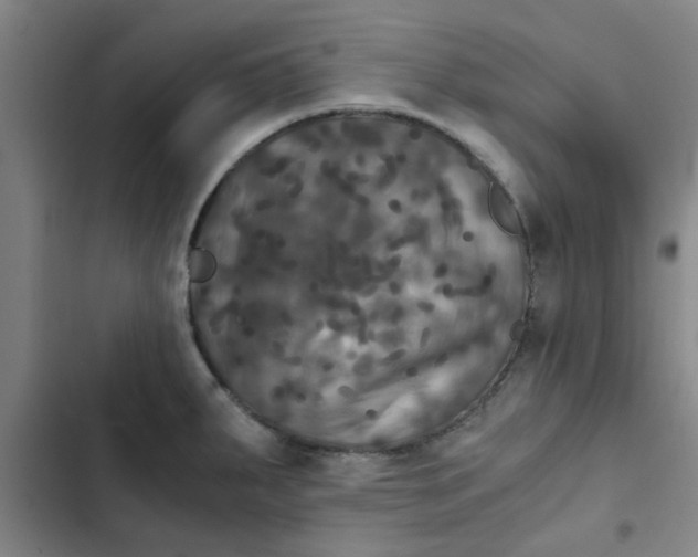 X0000102481287200808221658