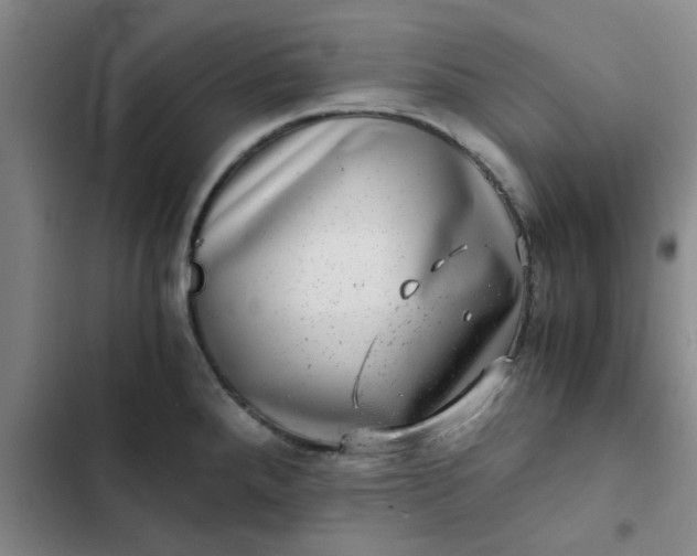 X0000102481288200808221658