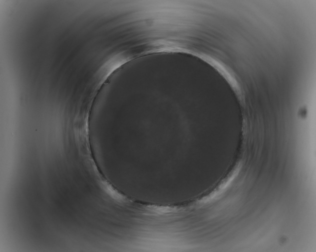 X0000102481289200808221658