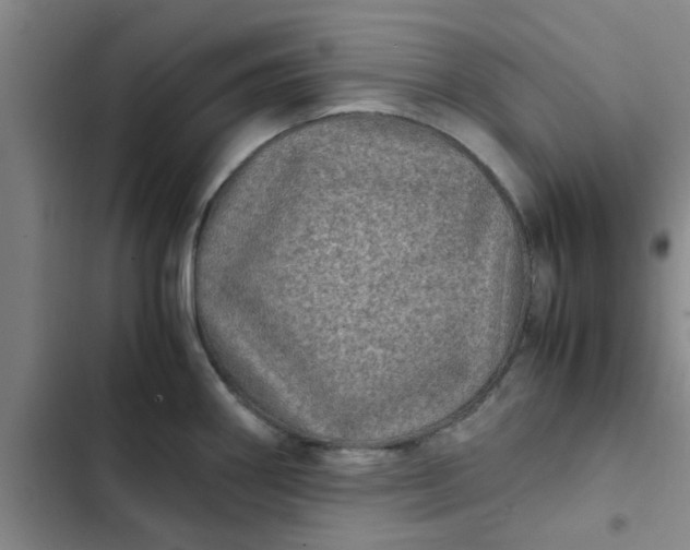 X0000102481290200808221658