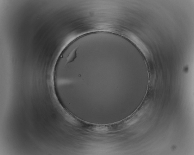 X0000102481291200808221658