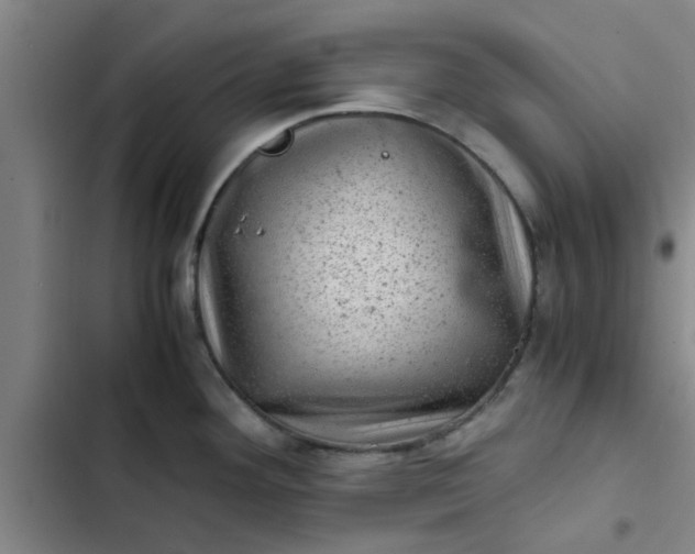 X0000102481292200808221658