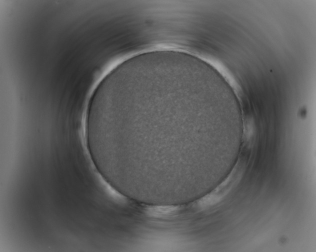 X0000102481294200808221658