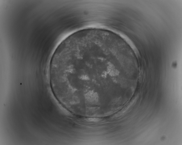 X0000102481295200808221658