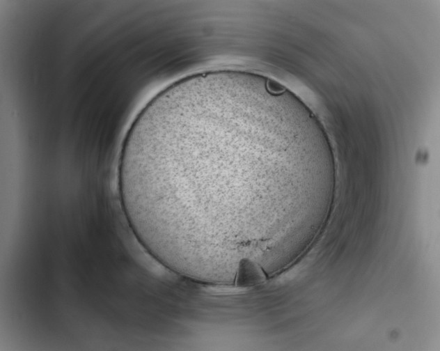 X0000102481296200808221658