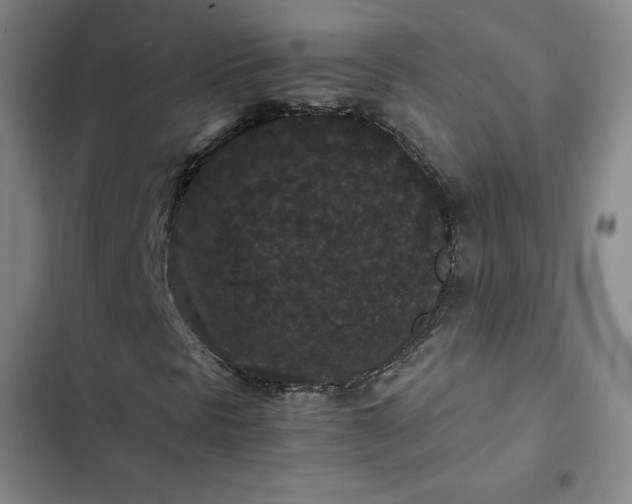 X0000102481297200808221657