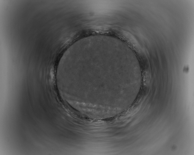 X0000102481298200808221657