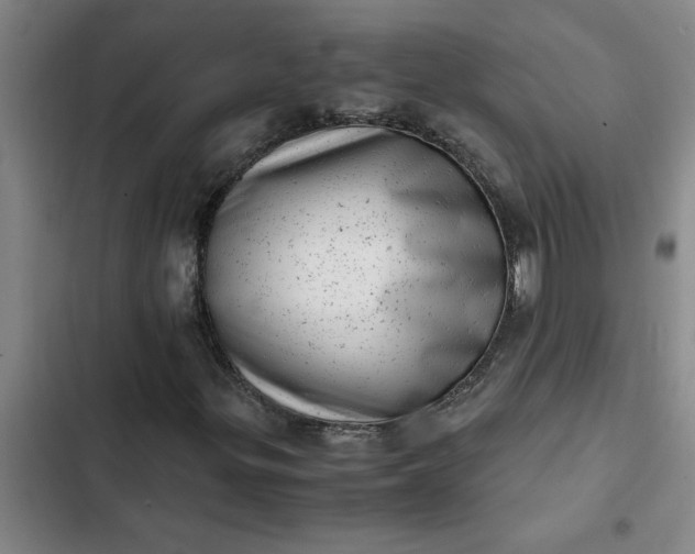 X0000102481299200808221657