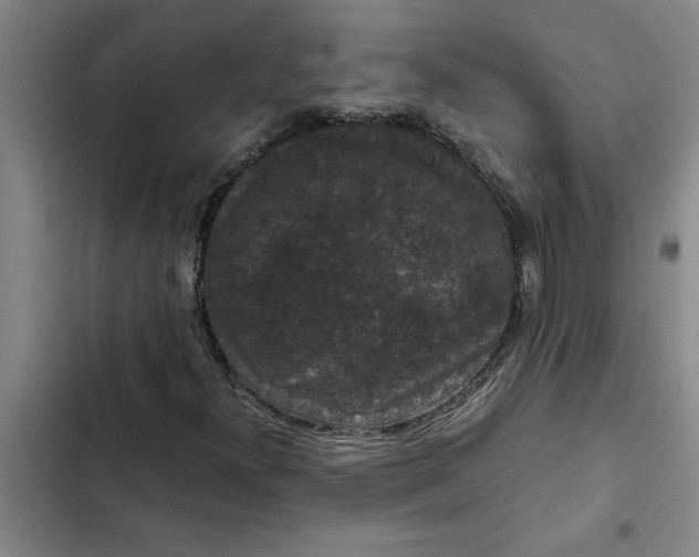 X0000102481300200808221657