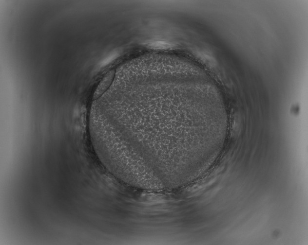 X0000102481301200808221657