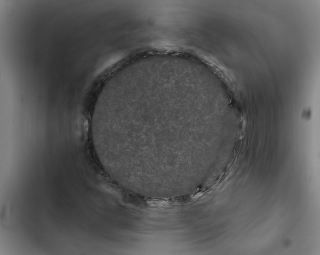 X0000102481302200808221657