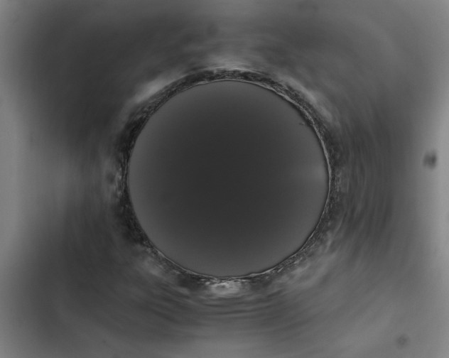 X0000102481303200808221657