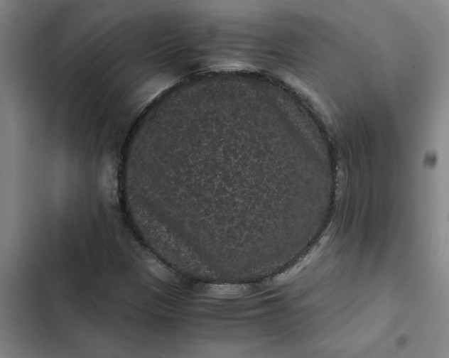 X0000102481305200808221657