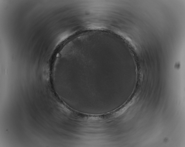 X0000102481306200808221657