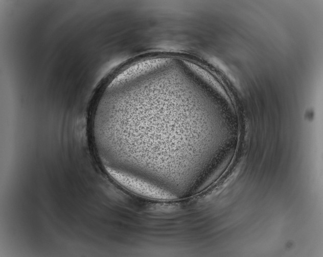 X0000102481307200808221657