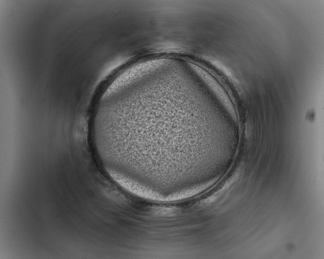 X0000102481309200808221657