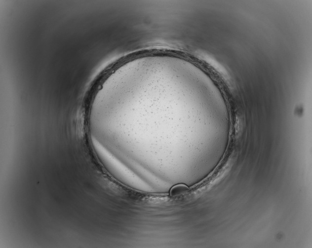 X0000102481310200808221657