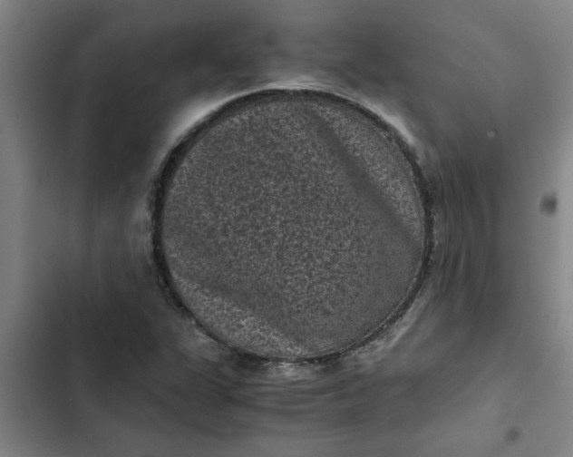 X0000102481311200808221657