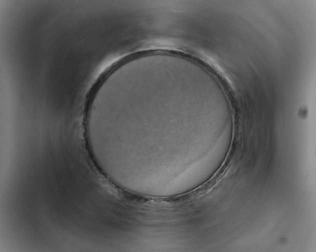 X0000102481312200808221657