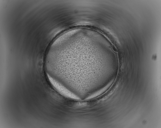 X0000102481313200808221657