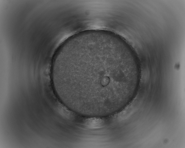 X0000102481314200808221657