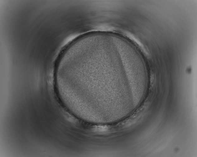 X0000102481315200808221657