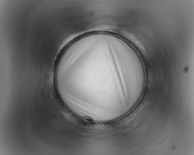 X0000102481316200808221657