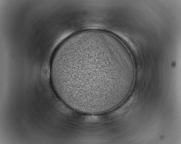 X0000102481317200808221657